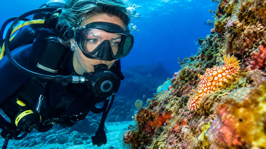 Scuba Diving in South Tenerife and Best Dive Sites