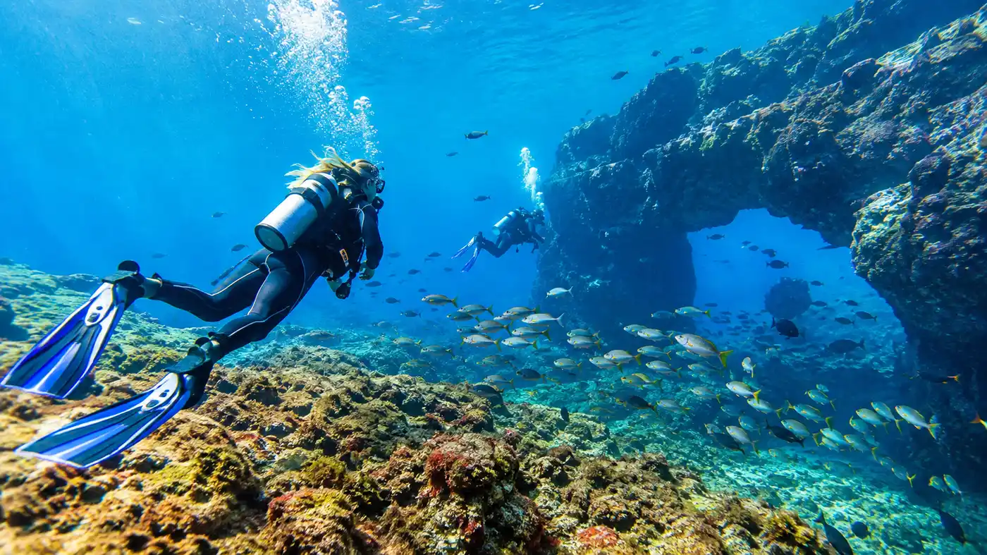 Scuba Diving in South Tenerife and Best Dive Sites