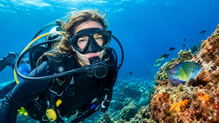 Beginner's Guide to Scuba Diving in Tenerife