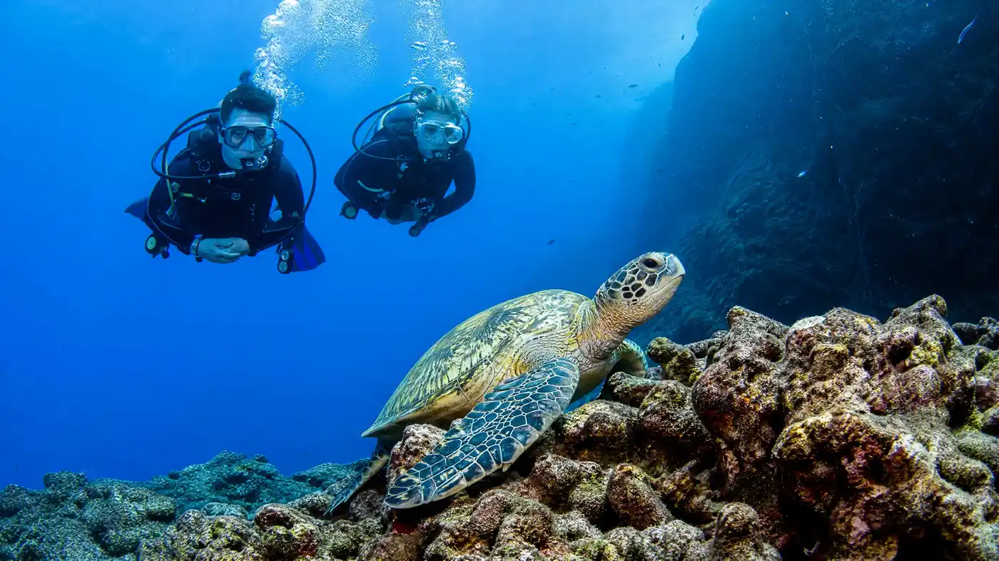 Beginner's Guide to Scuba Diving in Tenerife