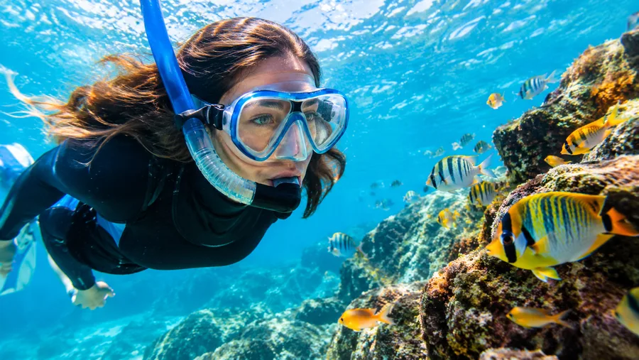 Complete Guide to Snorkeling in Tenerife
