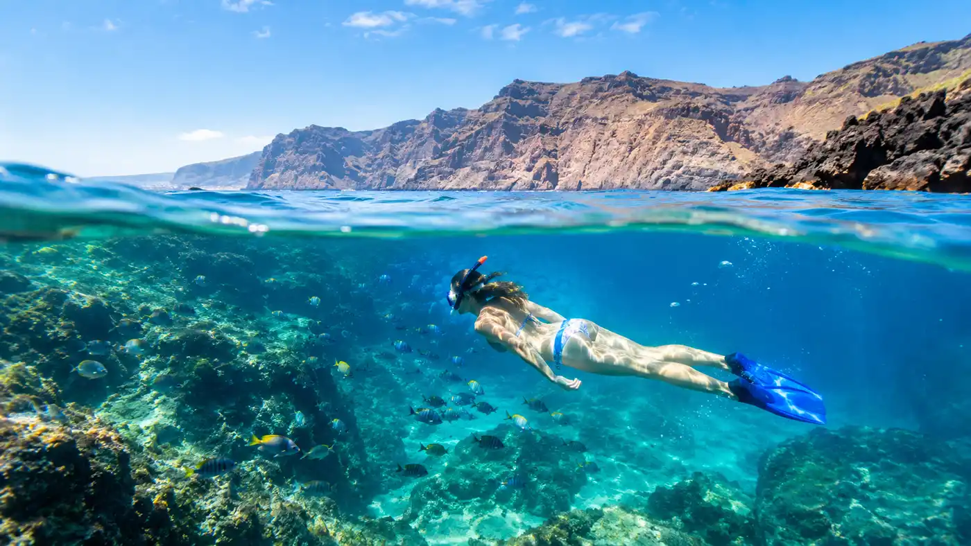 Complete Guide to Snorkeling in Tenerife