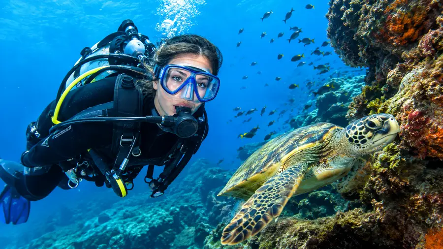 Tenerife Scuba Diving Prices, Schools, and Packages