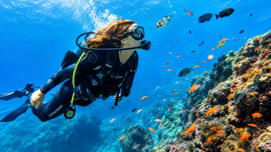 Tenerife Scuba Diving Prices, Schools, and Packages