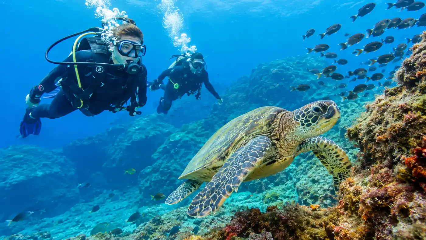 Tenerife Scuba Diving Prices, Schools, and Packages