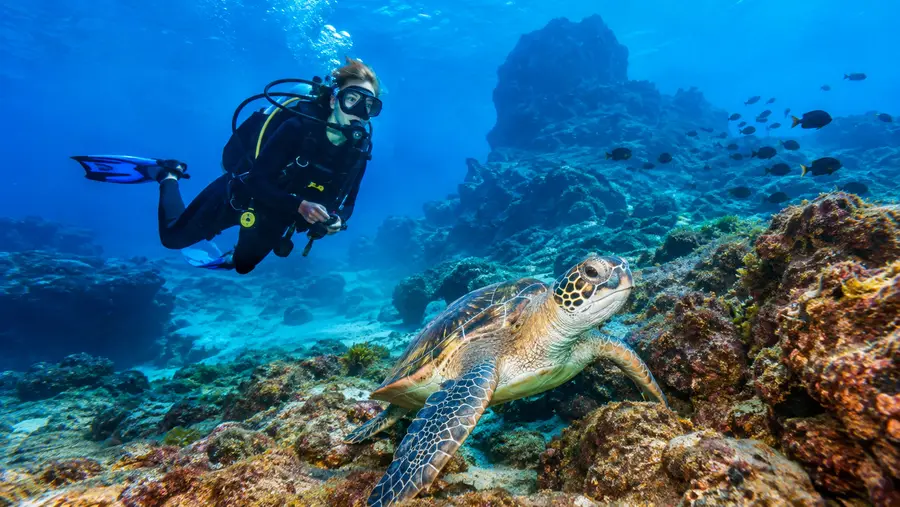 scuba diving tenerife